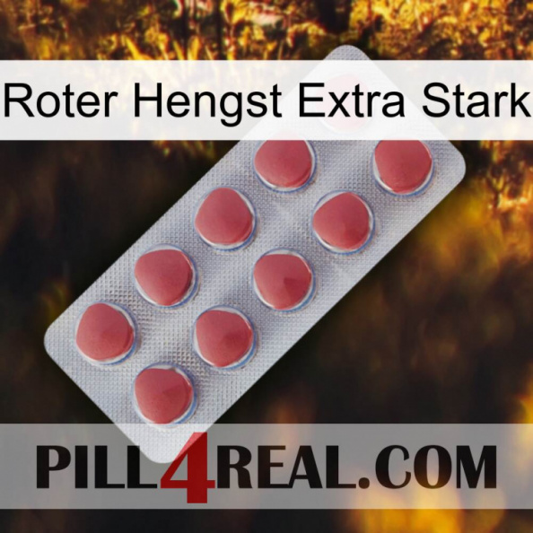 Red Stallion Extra Strong 18.jpg